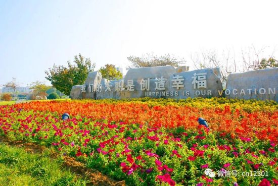 诗和远方的召唤 ——2020年山东旅游职业学院招生介绍(图13)