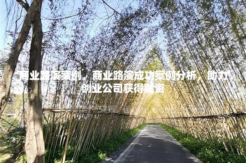 商业路演案例商业路演成功案例分析助力创业公司获得融资(图1)