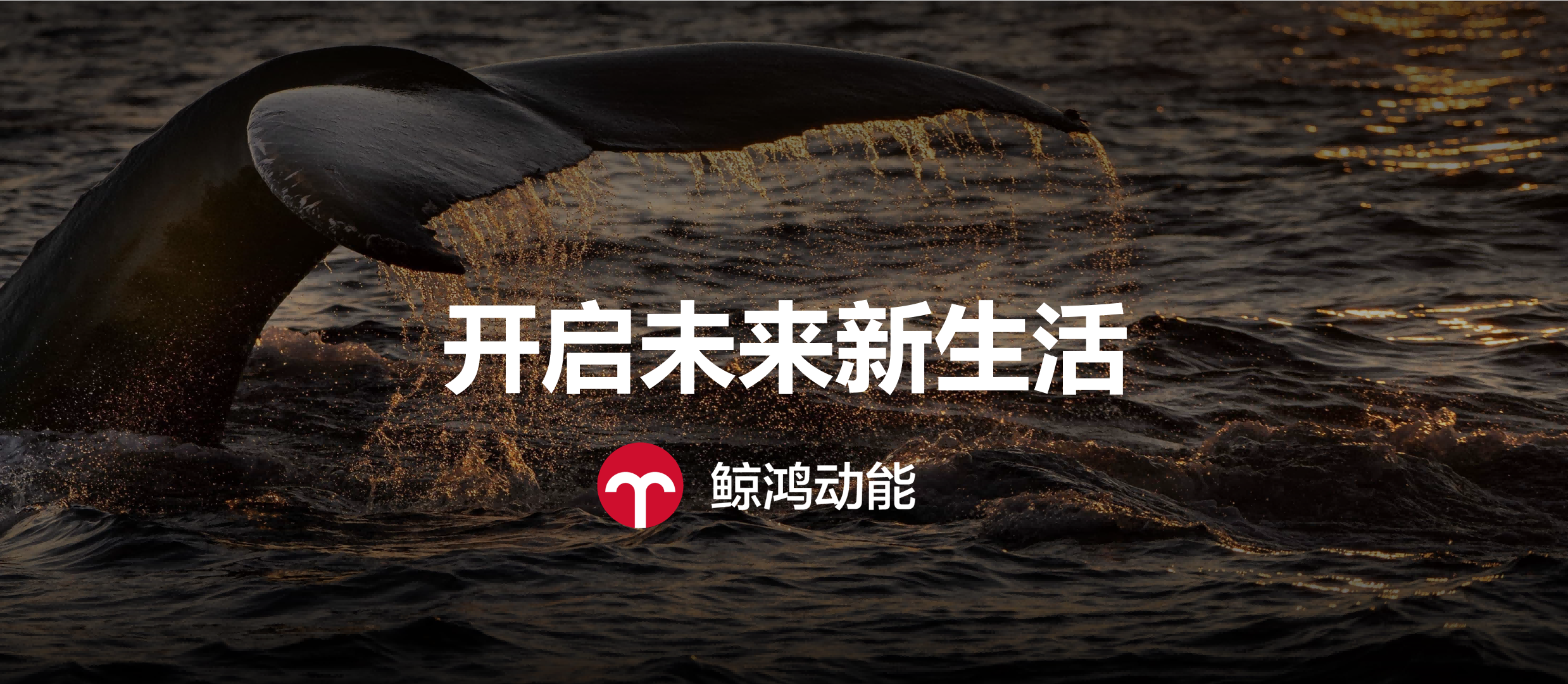 鲸鸿动能实现营销与用户需求的双向奔赴(图3)