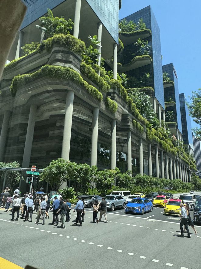 新加坡本地导游尊享热线攻略：六日游专属策划价格透明(图4)