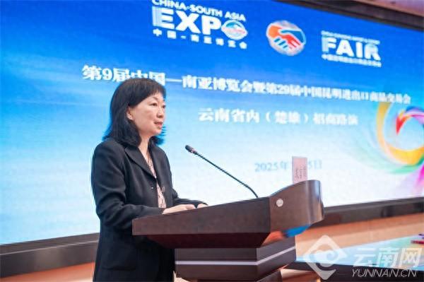 第9届南博会首场招商路演在楚雄成功举行(图1)