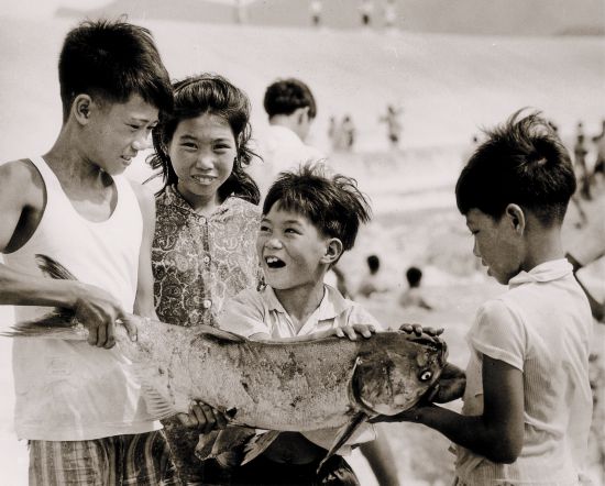 东江水供港60周年特别策划｜碧波南流一甲子 血脉情深一江水(图10)